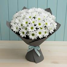 Букет белые хризантемы в Еленовское Букет цветов из:  Хризантемы в Еленовское