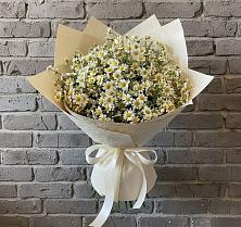 Букет цветов из:  Ромашки #REPLACE_PRED# Еленовское