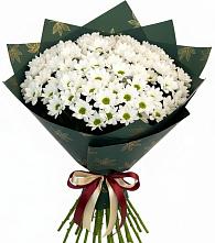 Букет море ромашек #REPLACE_PRED# Еленовское Букет цветов из:  Хризантемы #REPLACE_PRED# Еленовское